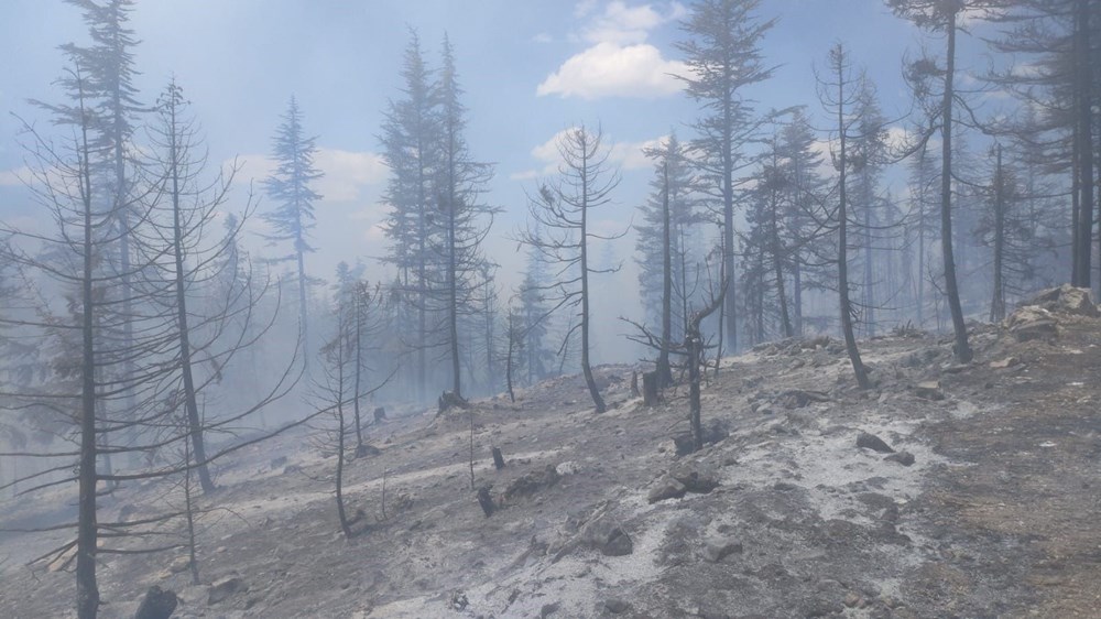 Türkiye alevlerle mücadele ediyor: 4 ilde orman yangını, ekiplerin müdahalesi sürüyor - 13