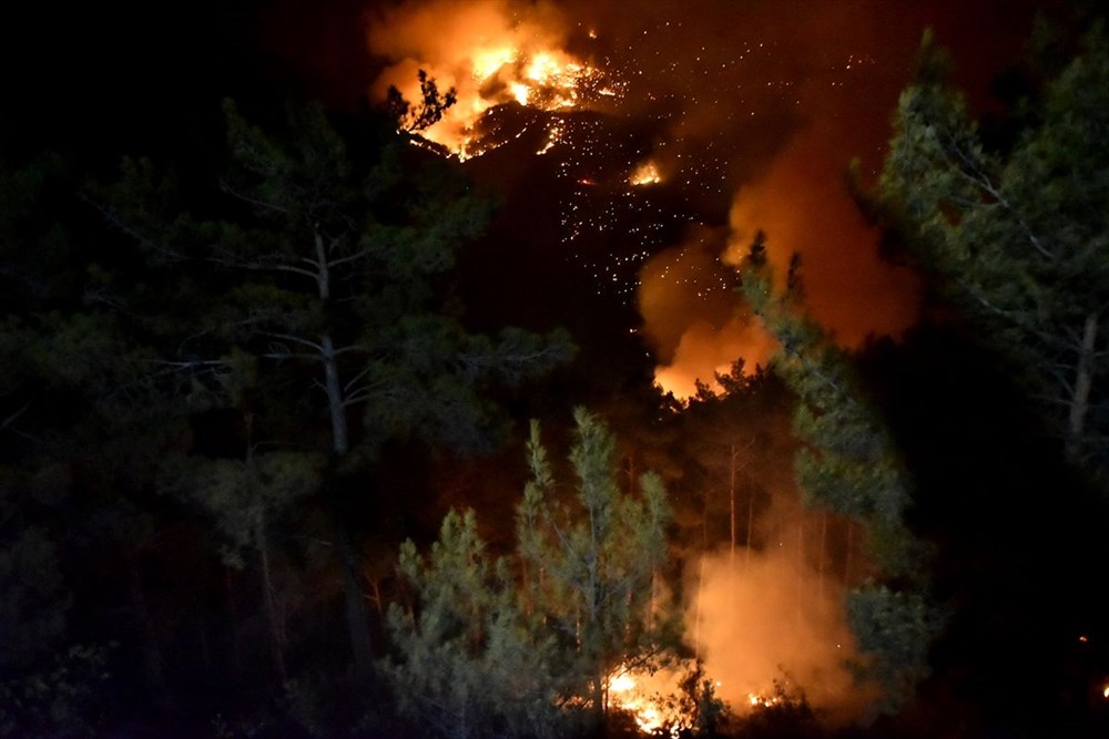 Hatay ve Mersin'de orman yangını - 28