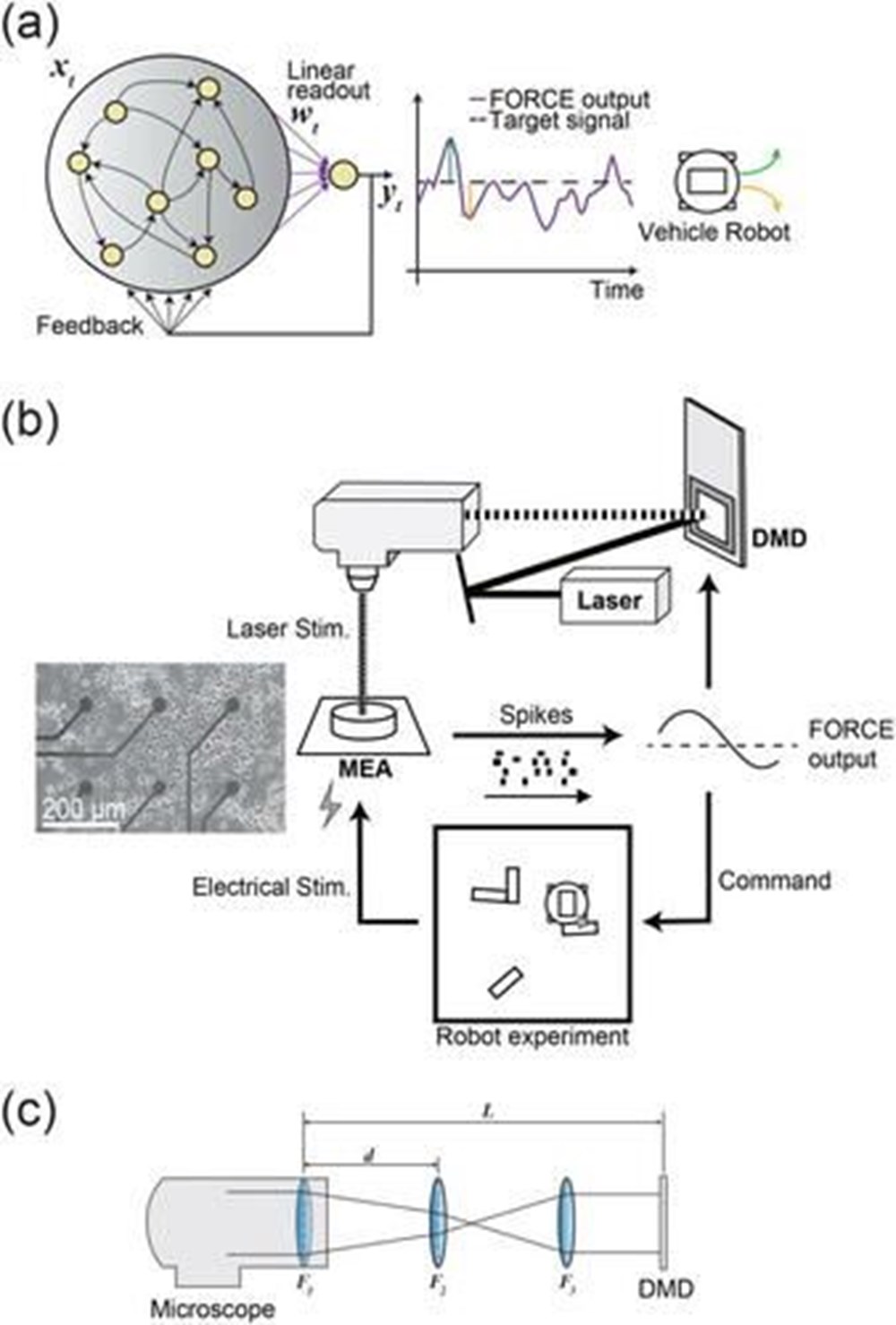 Japon bilim insanları dünyanın ilk düşünen robotunu geliştirdi: Kendi iradesine sahip makineler çağı başlıyor - 3