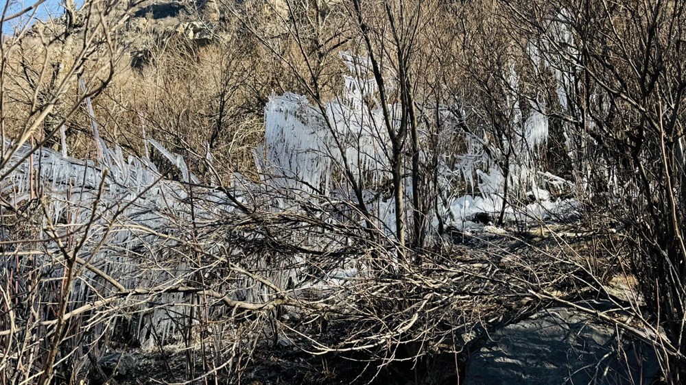 Bir ilde hava sıcaklığı eksi 10 dereceye düştü: Ağaçlarda buz sarkıtları oluştu - 4