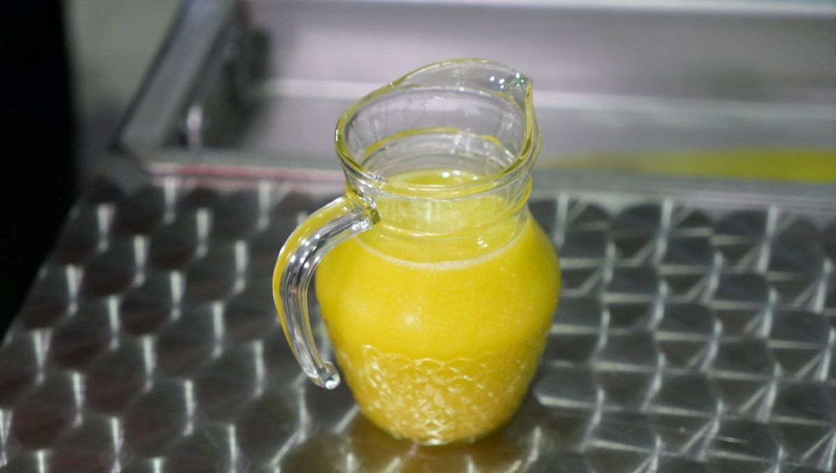 Bin yıllık ağaçtan hasadı yapıldı! Felç riskini azaltıp kötü kolesterolü düşürüyor, vatandaş binbir zahmetle topluyor