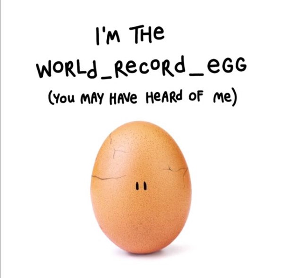 But she doesn t like eggs. Яйцо из «инстаграма». Put all eggs in one basket идиома. But she doesn t like eggs. But she doesn t like eggs.