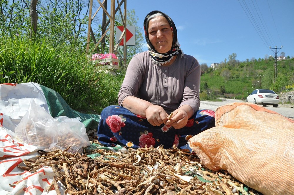 Ordu’nun Gölköy ilçesinde en uzun ömürlü insanlar yaşıyor (Corona virüs vakası da yok) - 13