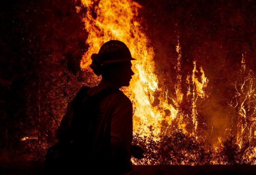 California'da orman yangınları evleri küle çevirdi - 10