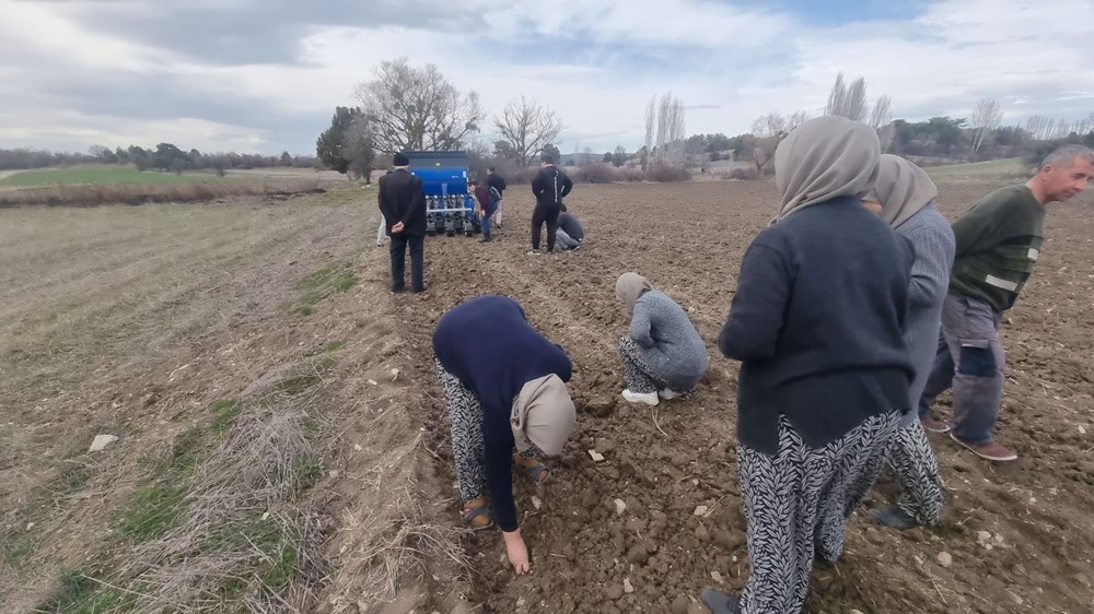 Domaniç'in Altın Sarımsağı İçin Geri Sayım Başladı 73 cMigvd3jLke7AtS9GTlmbQ