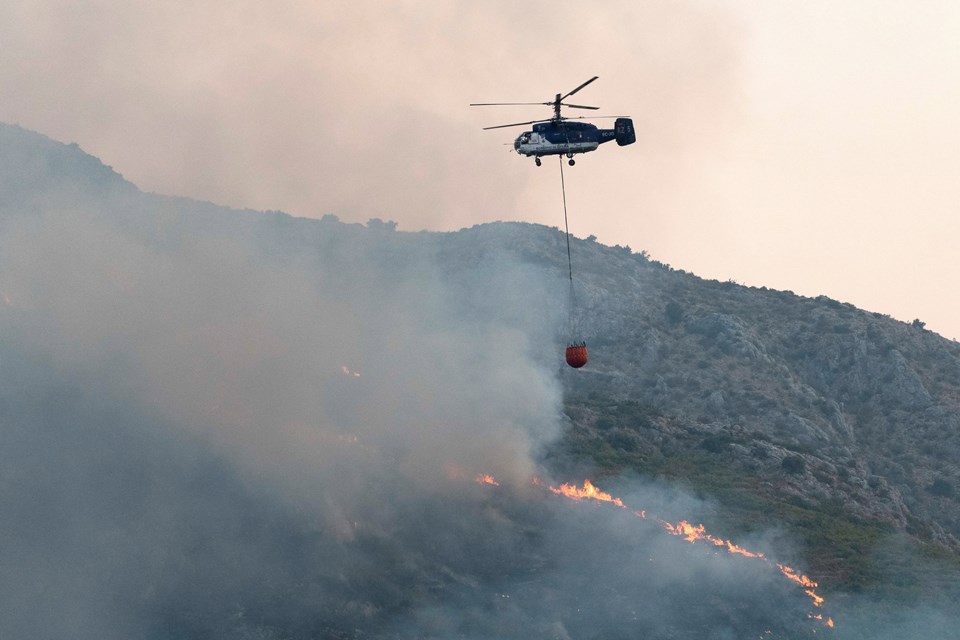 AB içinde 700 bin hektar ormanlık alan yandı: İstanbul'dan daha büyük - 1