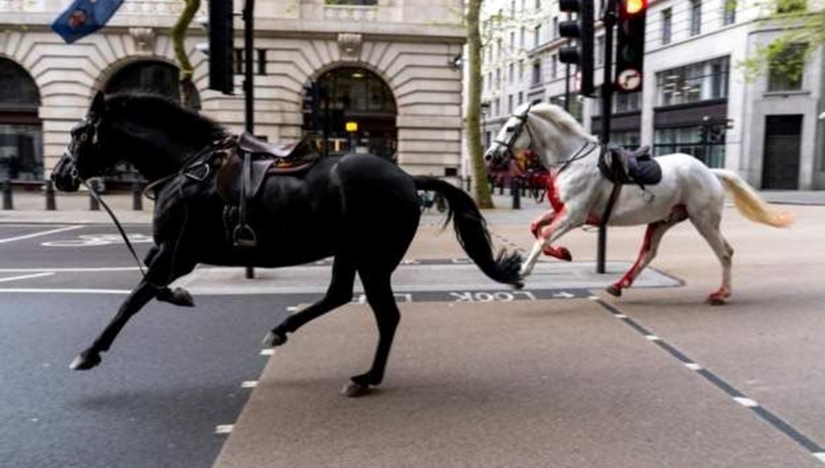 Londra'da kaçan at paniği
