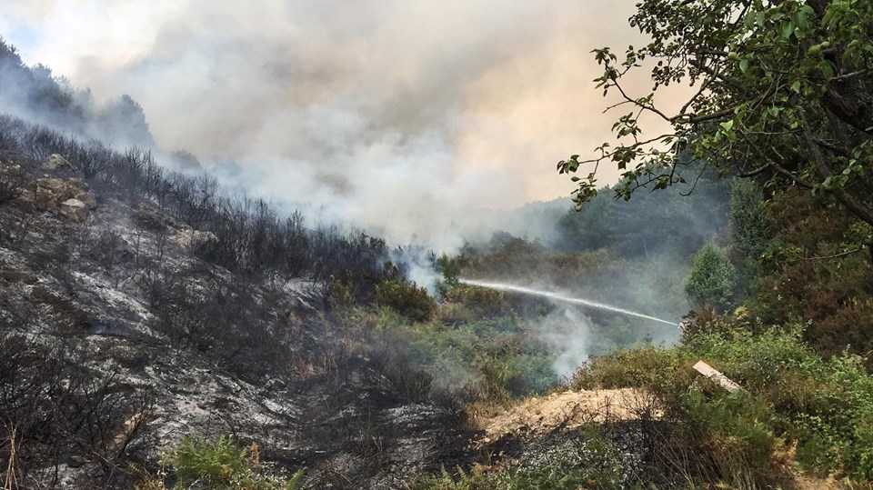 SON DAKİKA: Aydos ormanında yangın - 1