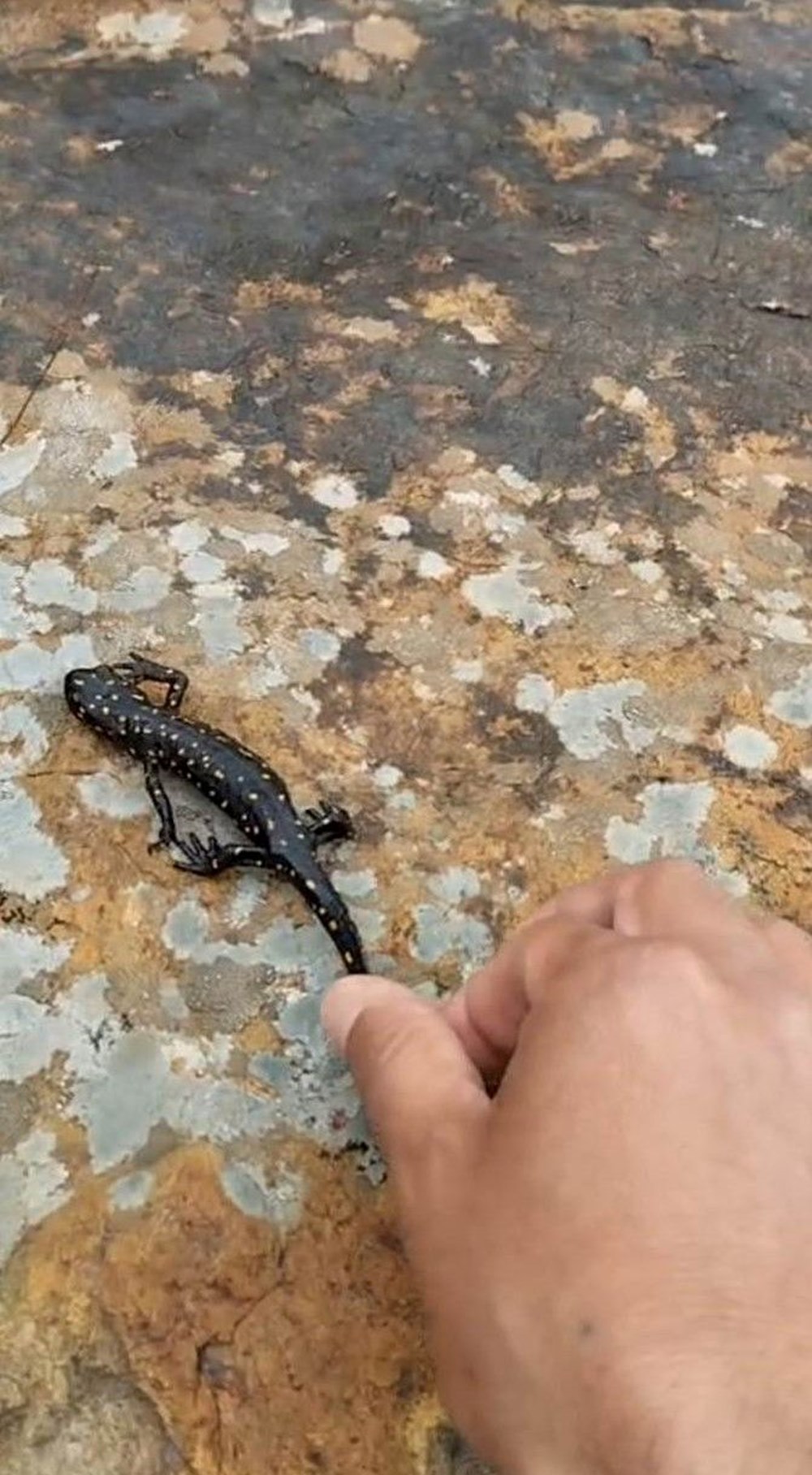 cPpcmhuzCkyN5 gHUCsZuw