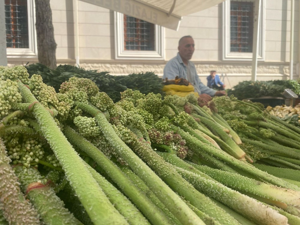 Şeker, kalp ve sarılığa yeterli geldiğine inanılıyor: Dağlarda yetişen doğal şifa tezgahta 75 cQFGE5 3HkCe i83ZhCTCQ