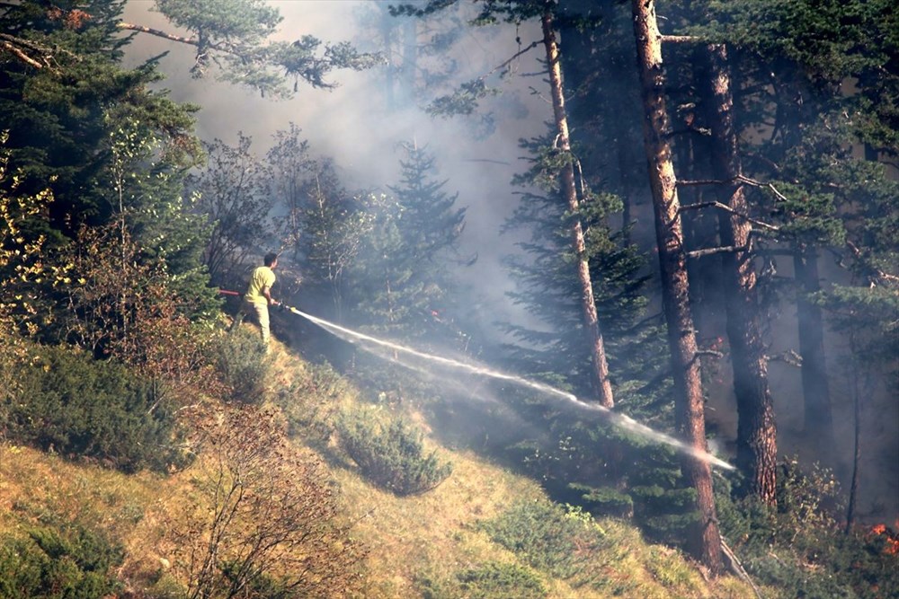 Kastamonu'daki yangın 4 gündür söndürülemiyor - 17