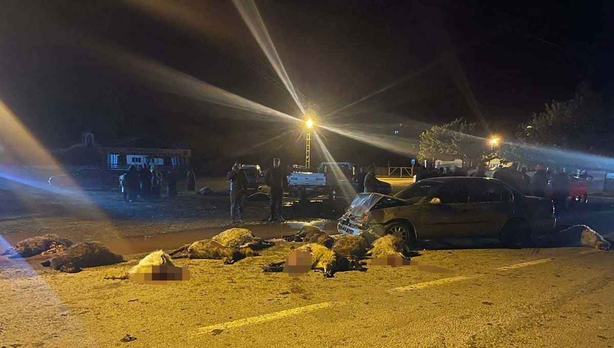 Erzincan'da otomobil sürüye çarptı: 17 koyun telef oldu, 6 kişi yaralandı Erzincan'da otomobil sürüye çarptı: 17 koyun telef oldu, 6 kişi yaralandı