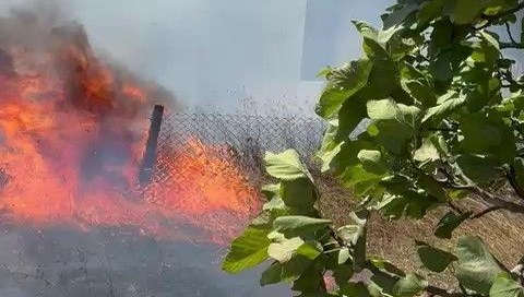 Kandıra'da yangın