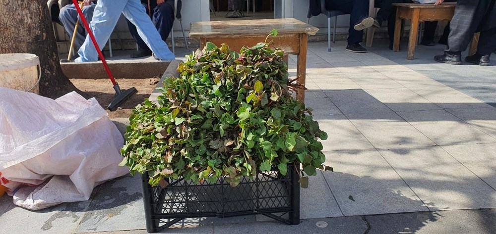 Konuk Düzbag'ı Kendi Projelerinizde Kullanmak: Yaratıcılığınızı Serbest Bırakmanın Anahtarı mı? 73