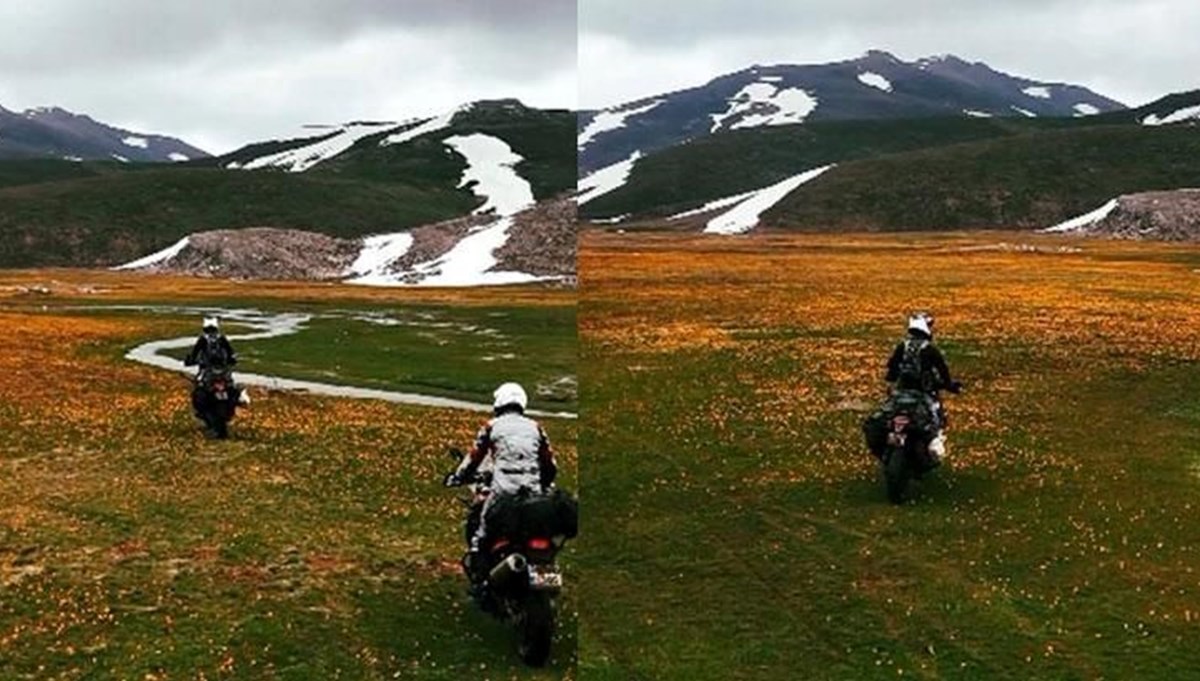 Tepki çeken görüntü: Endemik çiçekleri motosikletle ezdiler