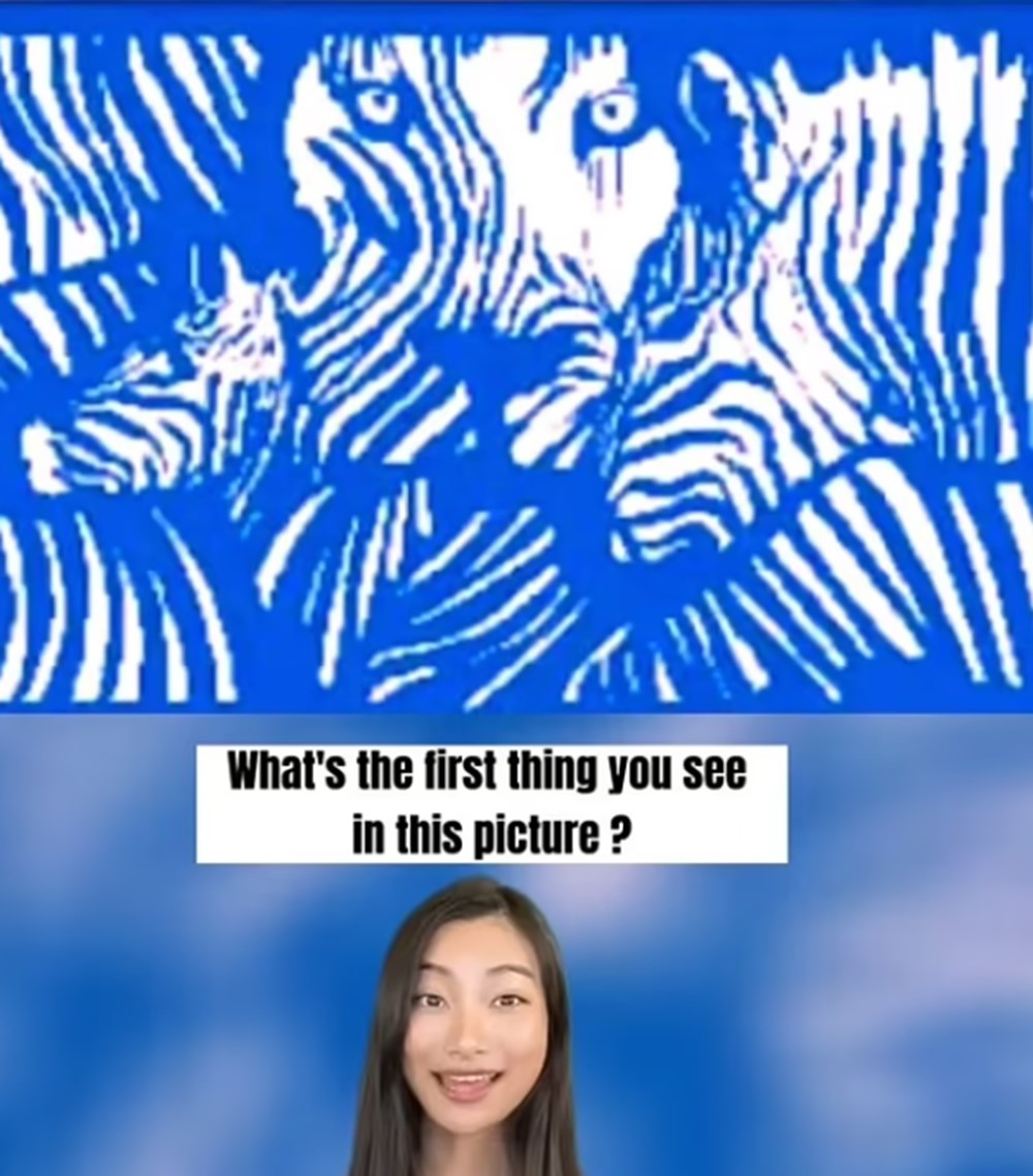 Bu görsel size kim olduğunuzu söylüyor: Resimde ilk önce hangi hayvanı gördünüz? - 58