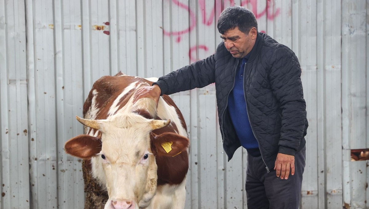 Depremzede besicilerden çağrı: Kamu alım yapsın Depremzede besicilerden çağrı: Kamu alım yapsın