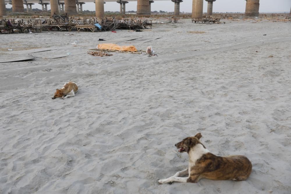 Hindistan’da yağmur, Ganj nehri kıyılarına gömülmüş yüzlerce ceseti ortaya çıkardı - 5