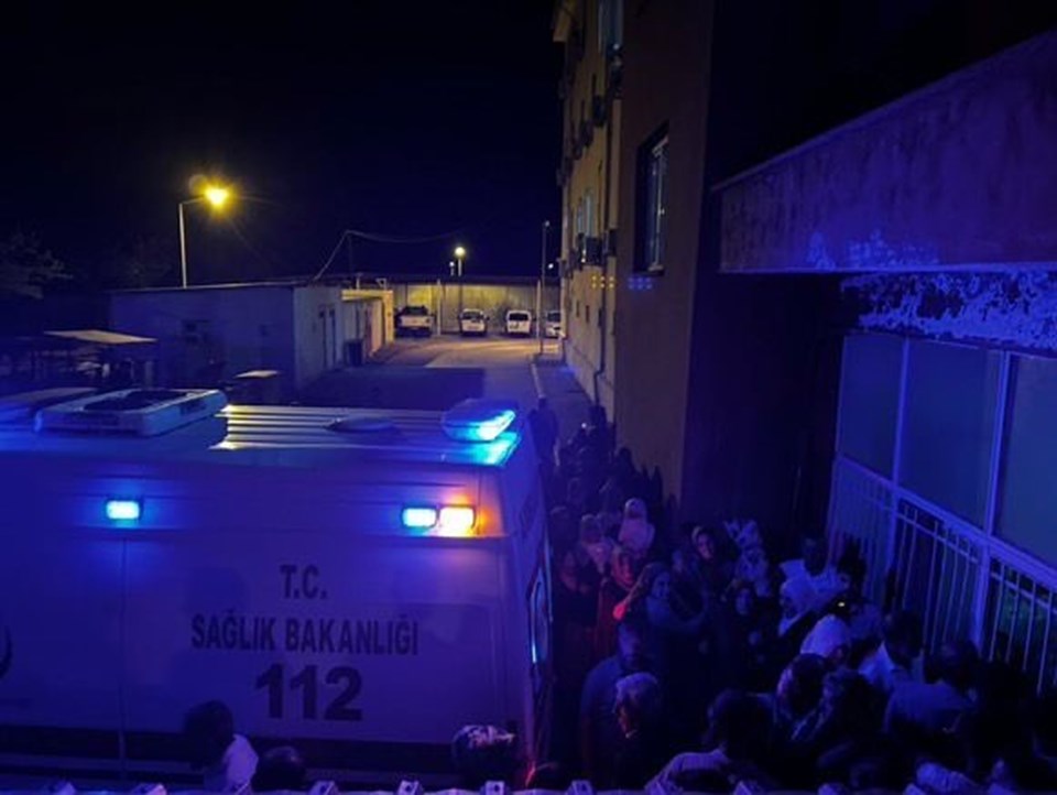 Diyarbakır'da kuzenlerin cinayeti aydınlandı - 1