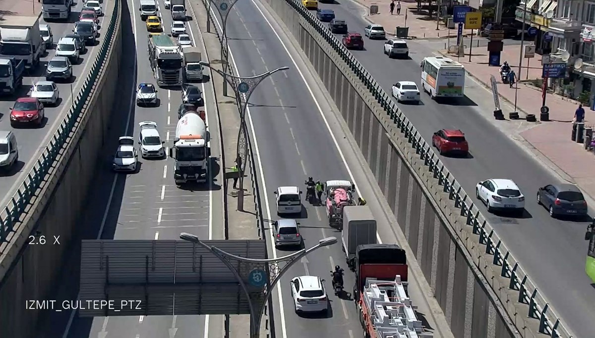 D-100'de kedi seferberliği: Trafik bir süre durdu