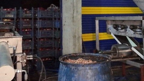 Nar ekşisi imalathanesinde skandal