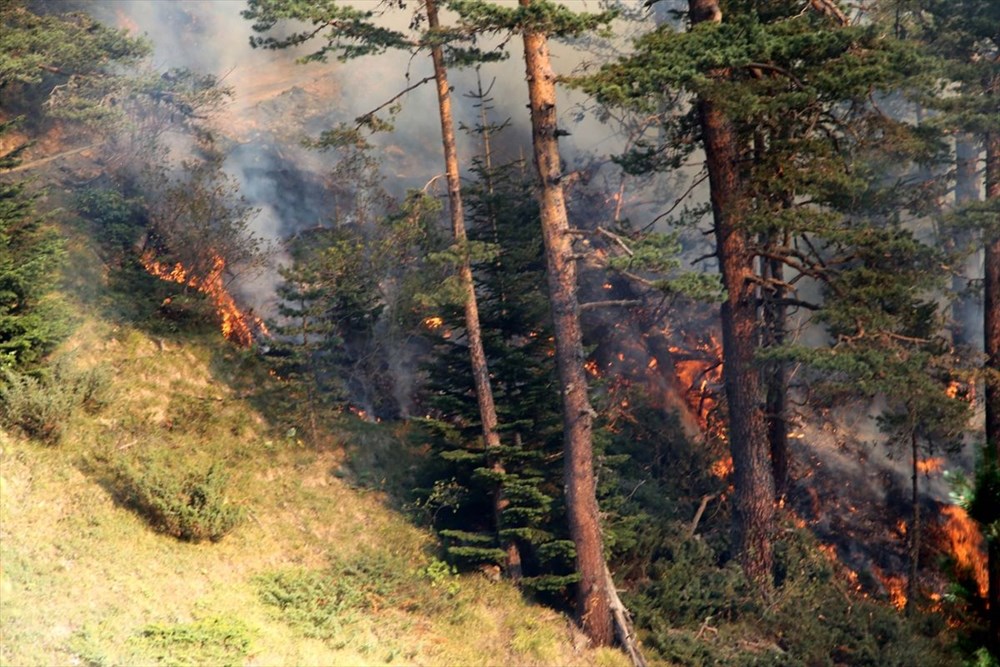Kastamonu'daki yangın 4 gündür söndürülemiyor - 18