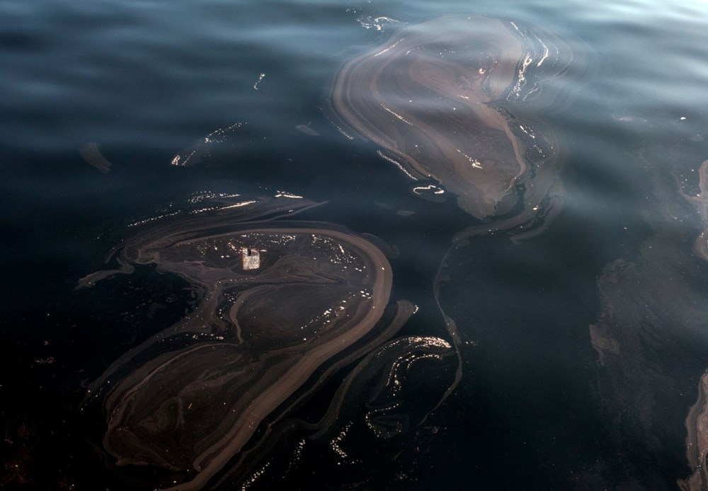 İstanbul’da müsilaj yeniden görüldü - 7