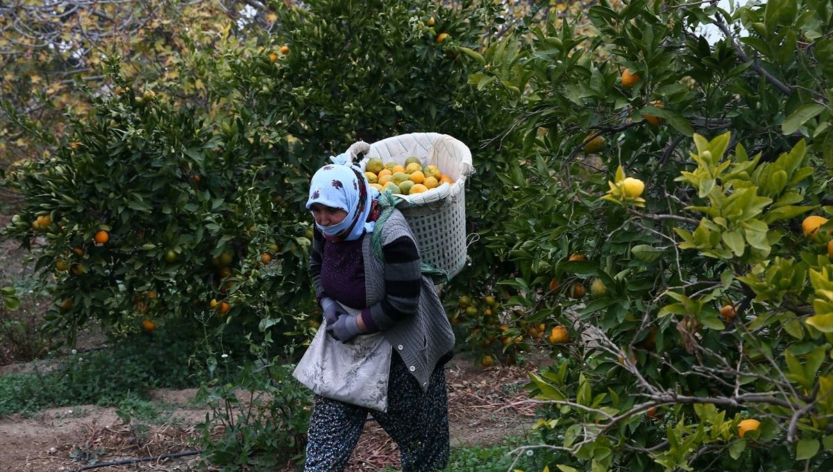 Türkiye'de yağışlar son 20 yılın en düşük seviyesinde gerçekleşti
