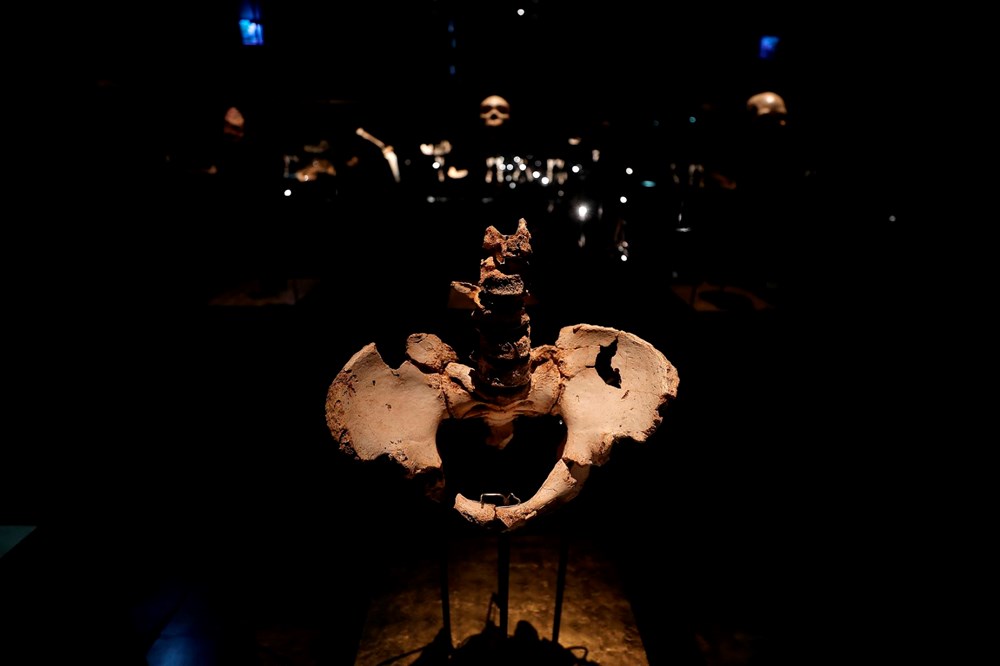 Avrupa'nın en eski insan fosili bulundu: 1,4 milyon yaşında - 11