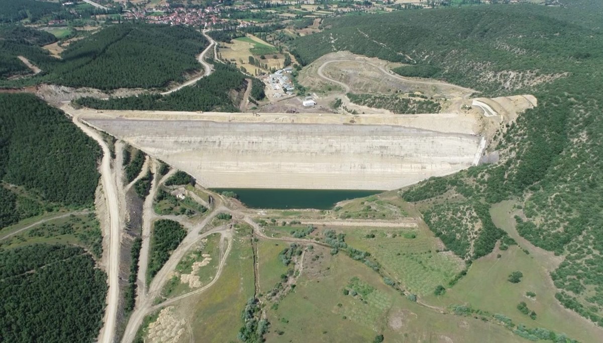 Yok olma tehlikesi bulunan 