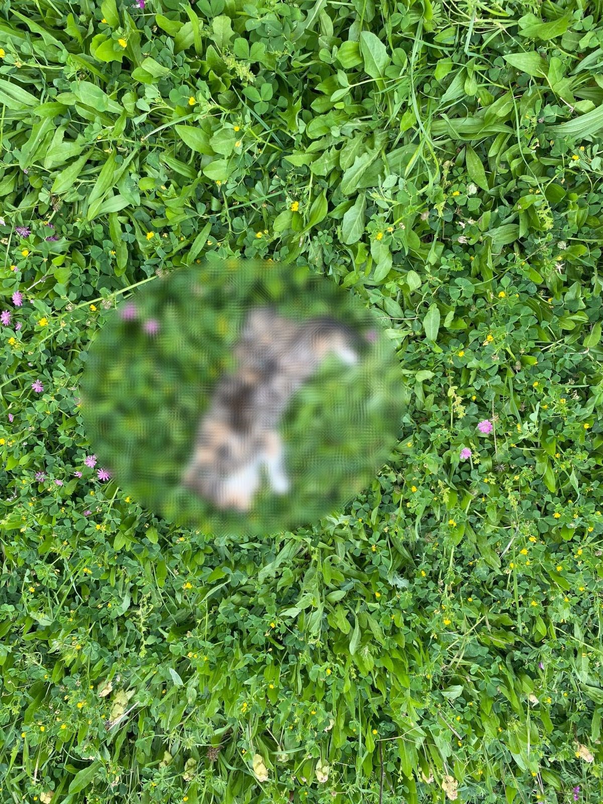 cZqbcO33tkuAaQXbSsicQQ.jpg