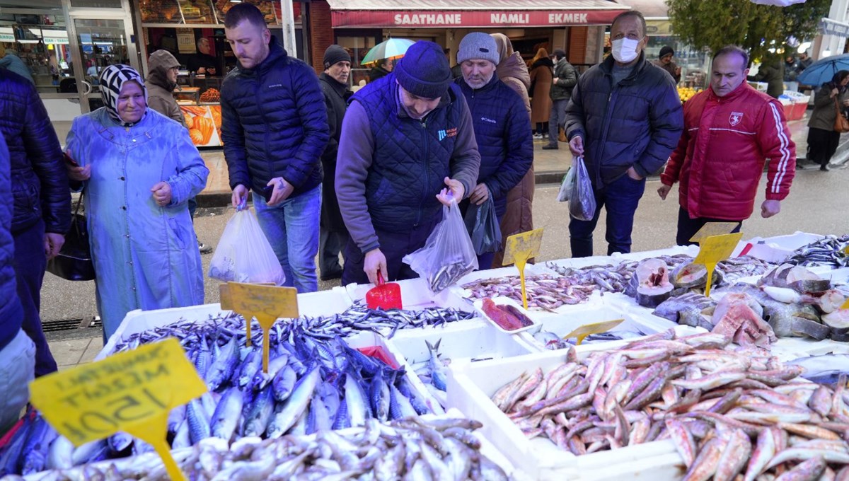 Sibirya soğukları Karadeniz’in incisi hamsiye yaradı