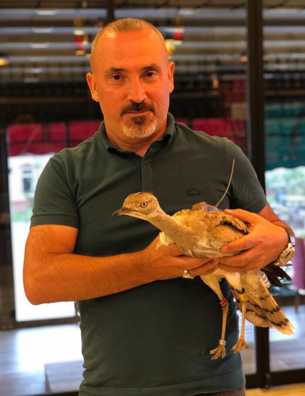 7 yıl sonra Trabzon'da görülen yakalı toy kuşunu avcılar vurdu - 4