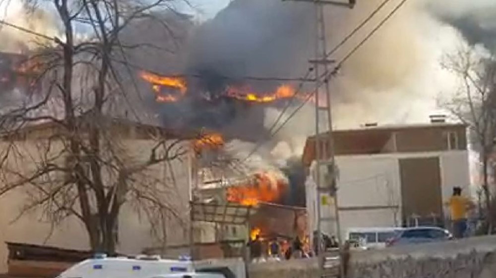 Artvin'deki yangın kontrol altında - 4