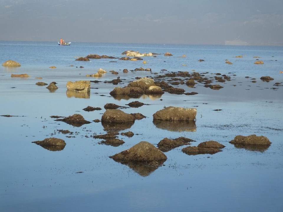 Deniz çekildi, antik limanın kalıntıları su yüzeyine çıktı - 1