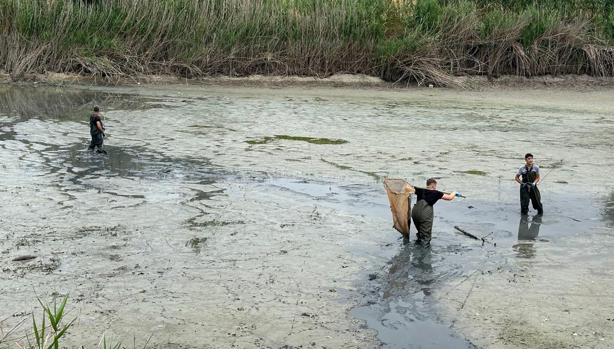 Kuruyan gölette mahsur kalan balıklar kurtarıldı
