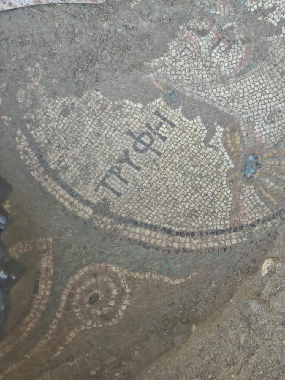 Kaçak kazı 2 bin yıllık Roma mozaiğini ortaya çıkarttı - 2