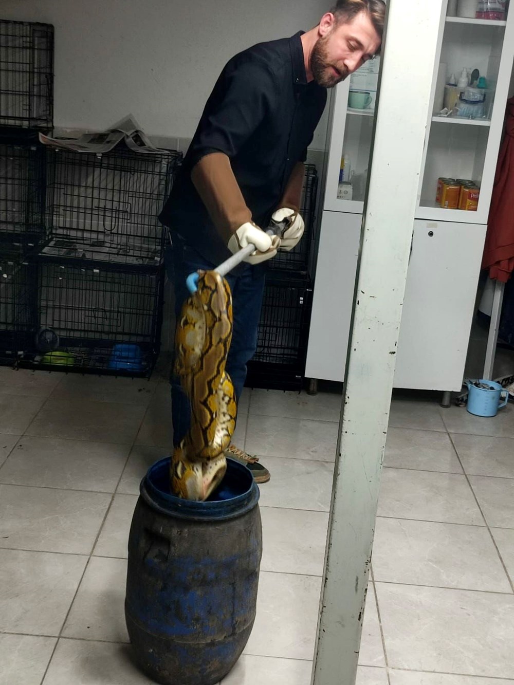 Otobüste Piton Paniği: Kayıp Yılan Sahibini Arıyor! 74 ceVy3d0c5EW LYB RZZaKg