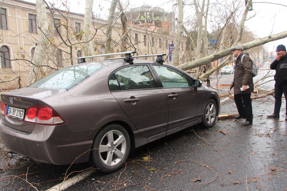 Beşiktaş'ta fırtına nedeniyle asırlık çınar ağacı devrildi - 9