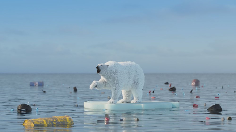 Bilim insanlarından umutlandıran keşif: İklim değişikliğine adapte olmayı başaran bir kutup ayısı topluluğu keşfedildi - 4