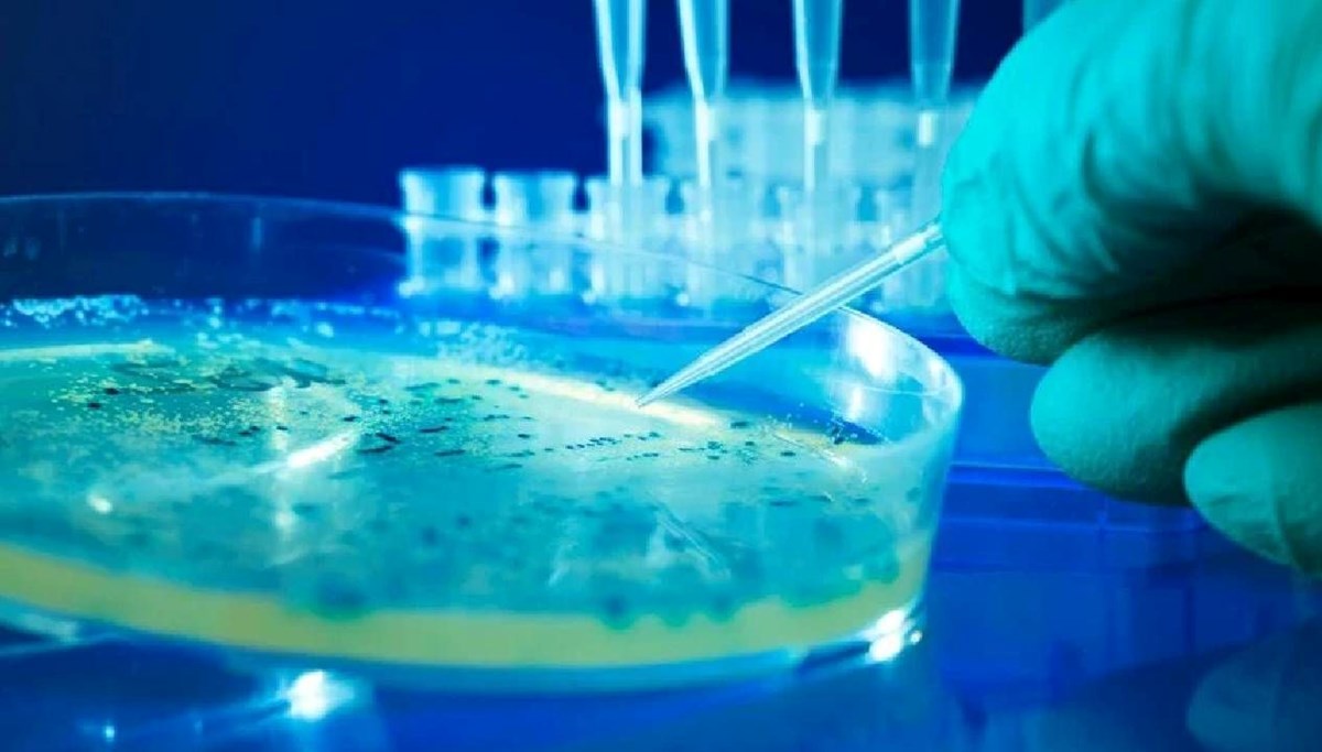 ABD’de salmonella alarmı