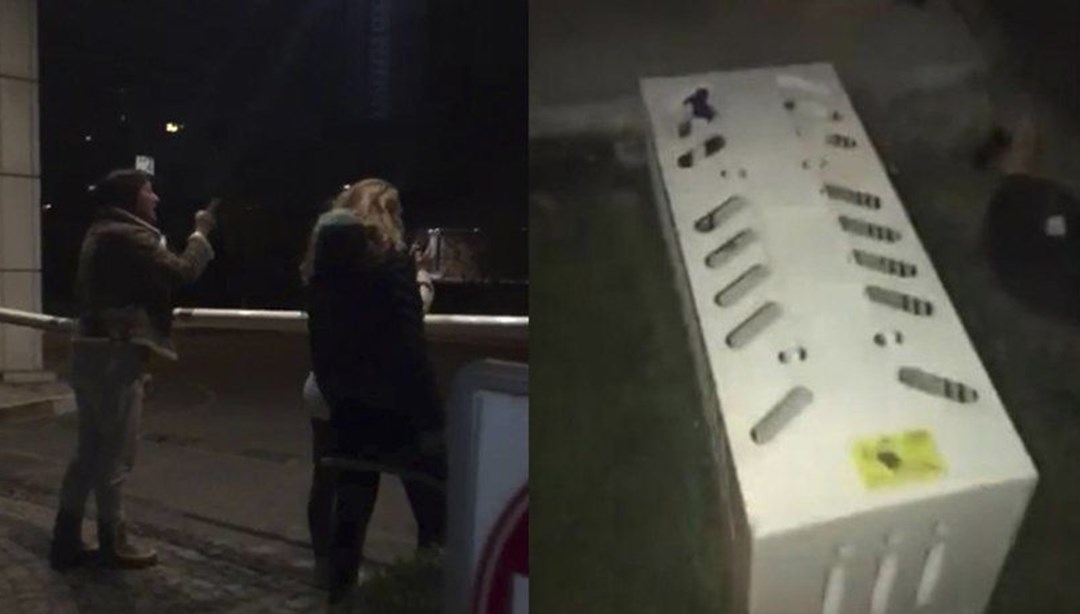 Sitede kedi kapanı iddiası (Hayvanseverler duruma tepki gösterdi) NTV