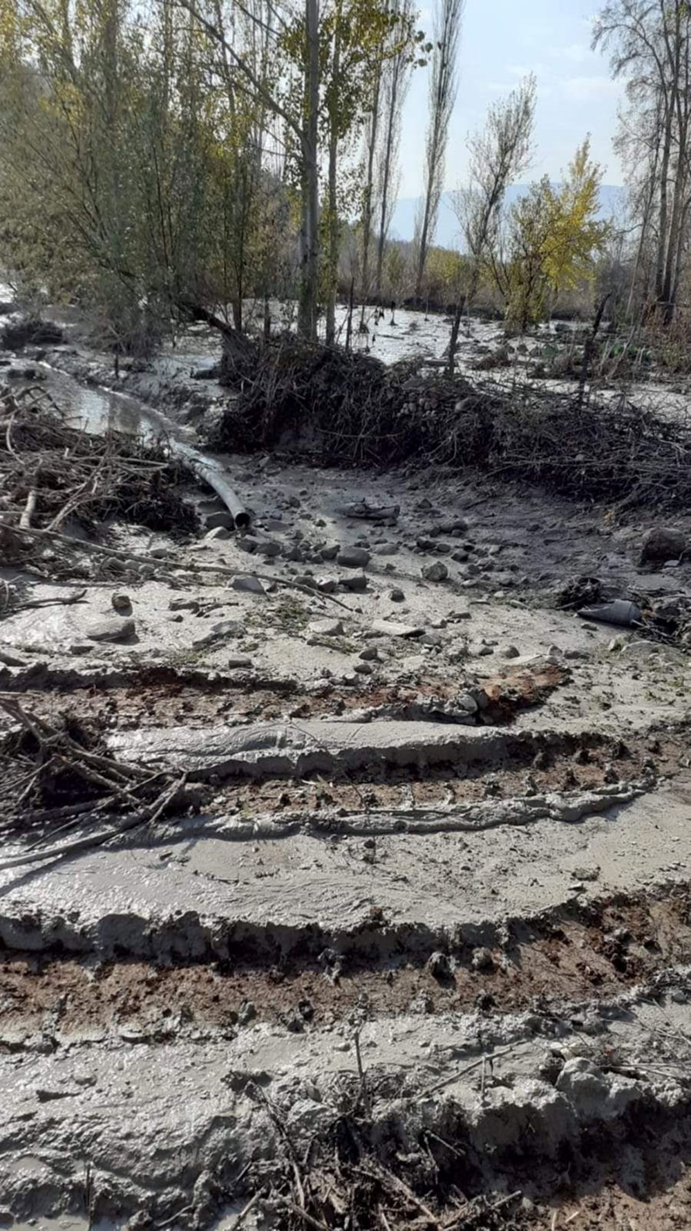 Giresun'daki çevre felaketine rekor ceza - 2