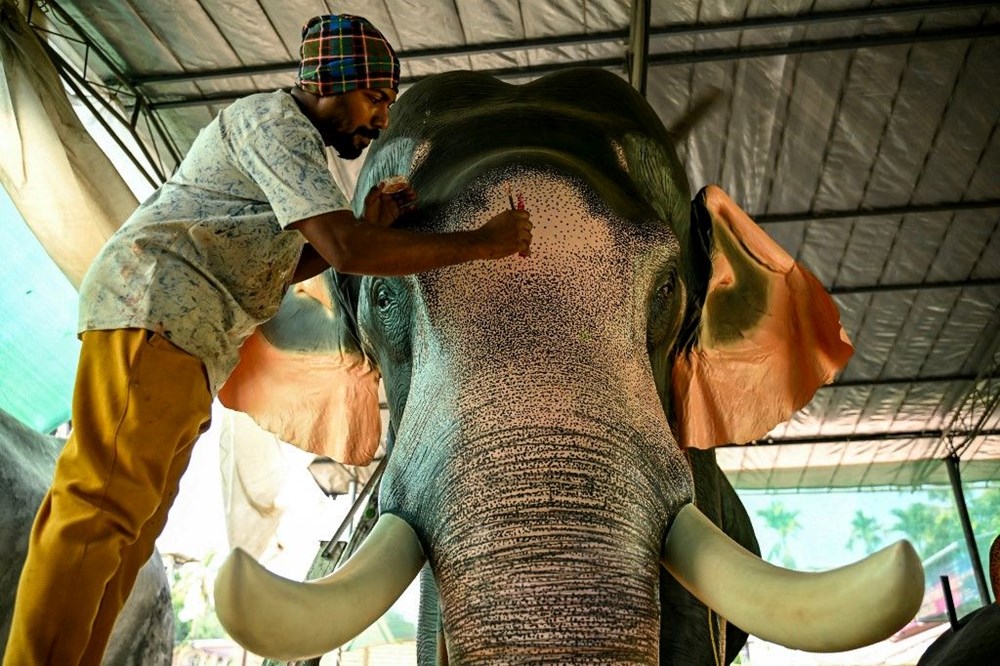 Hindistan'da Zulüm Sona Eriyor: Robot Filler Ritüelleri Dönüştürüyor! 71