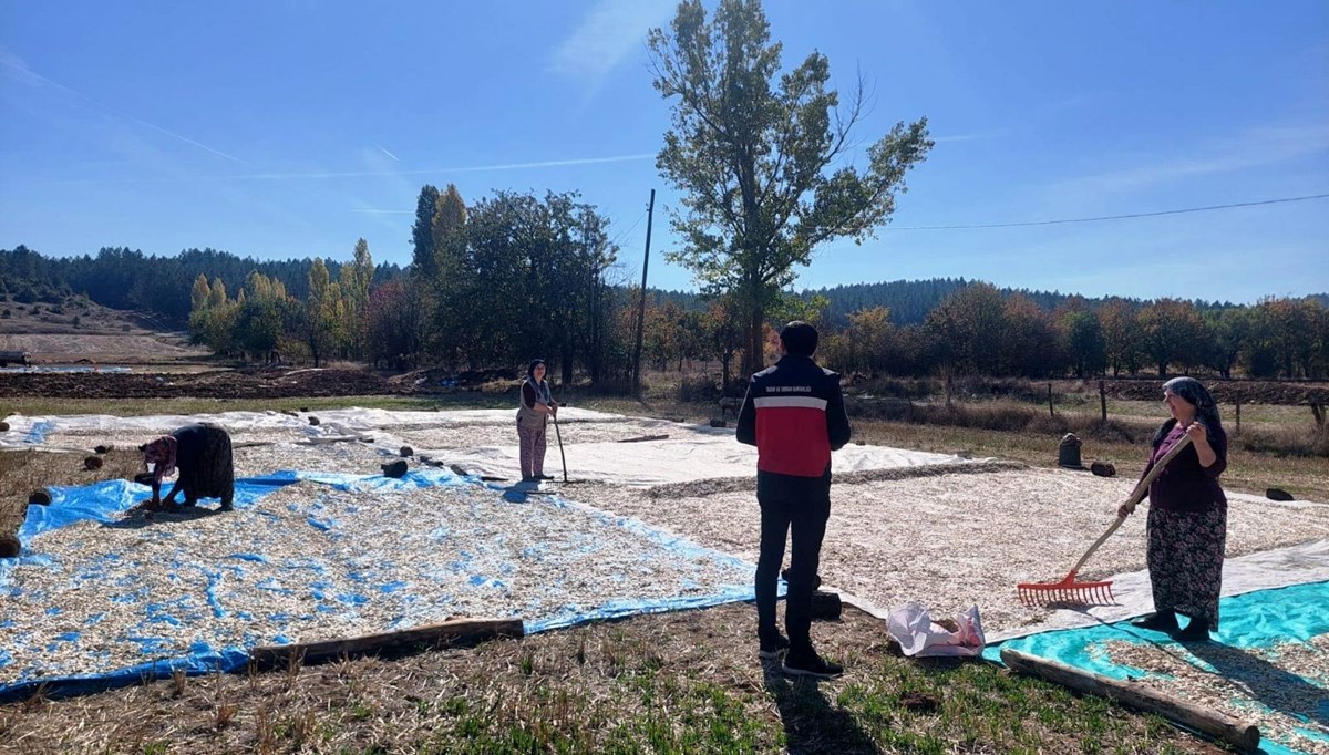 600 dekar alana ekilmişti: Kontrolleri yapıldı