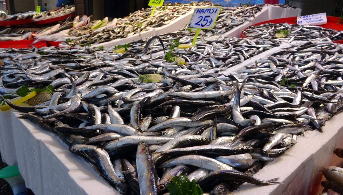 Hamsi geri döndü! Tezgahlarda bolluk