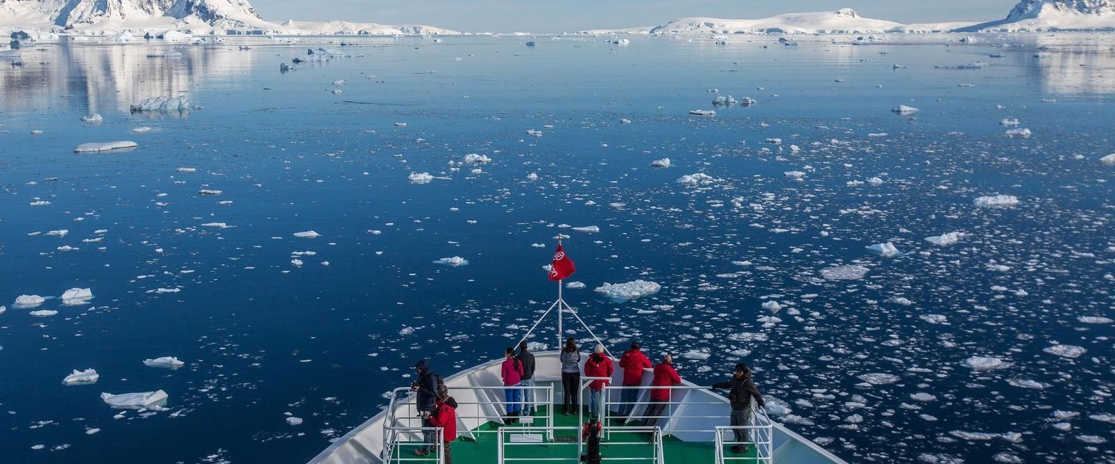 Laboratuvarda tavuk eti üretildi NTV