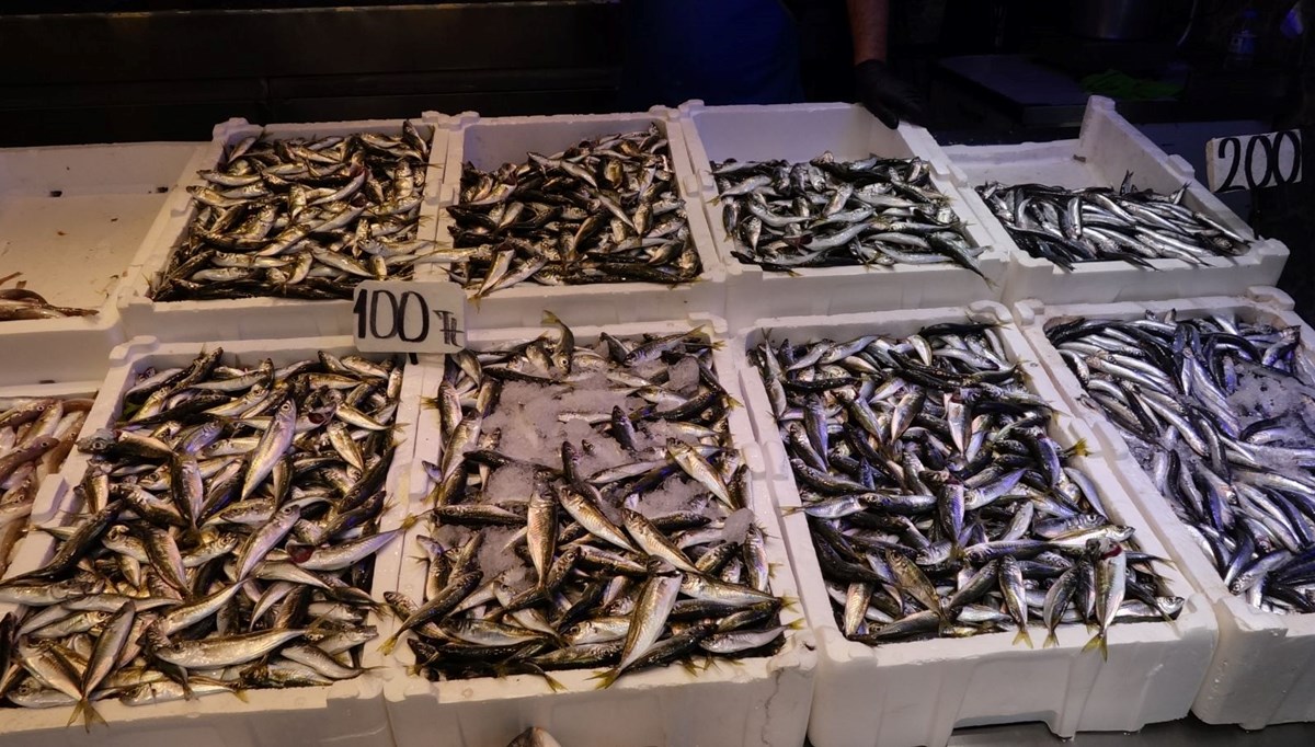 Yasak bitti, sezon açıldı... Tezgahlar istavritle doldu