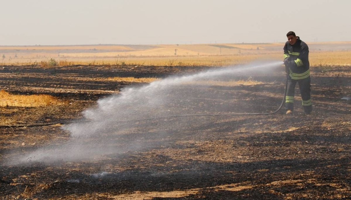 Yangında tarım arazisi küle döndü