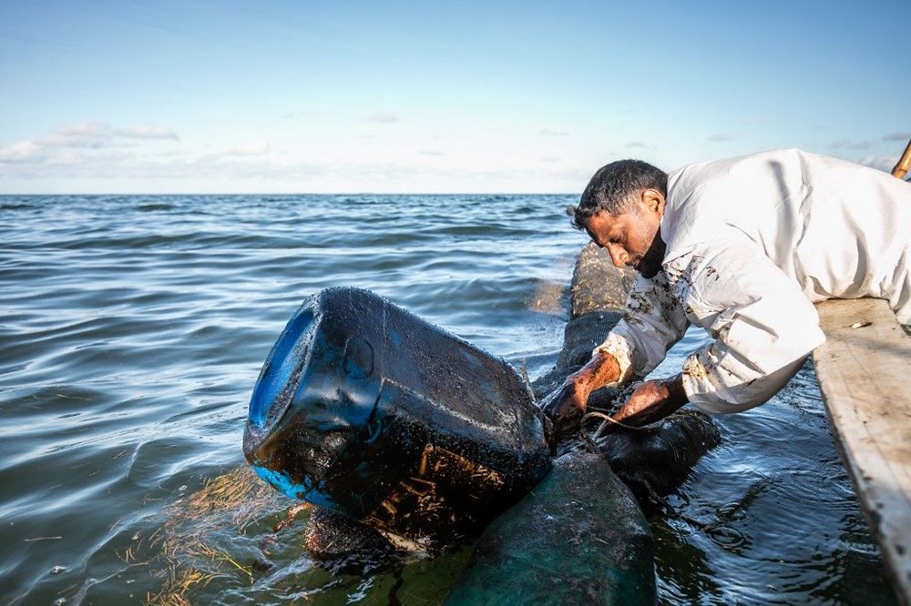 Mauritius'da petrol sızıntısı: Halk saçlarını bağışlıyor - 9
